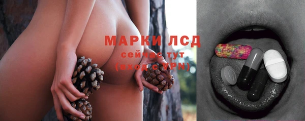 СК Аркадак