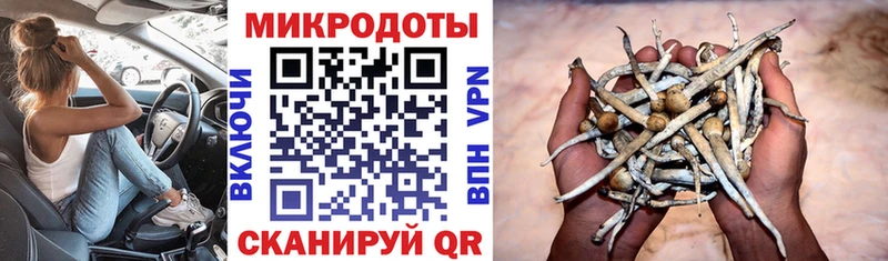 Галлюциногенные грибы GOLDEN TEACHER  МЕГА ссылка  Полярные Зори 